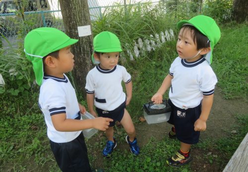 今週の一場面　こあら組（3歳児）