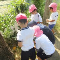 岐阜東幼稚園がCCNの番組『ちびっこぱあく』で紹介されています。