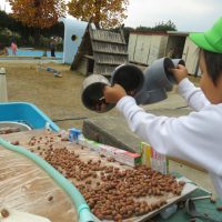 今週の一場面　こあら組（3歳児）