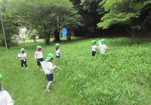 なつめ組（４歳児）今週の一場面