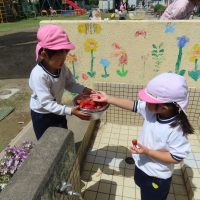 たいよう組（5歳児）今週の一場面