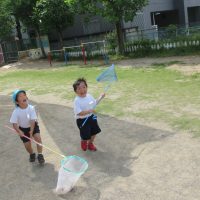 こあら組（3歳児）今週の一場面