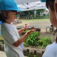こあら組（3歳児）　今週の一場面