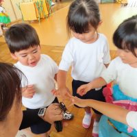 こあら組（3歳児）今週の一場面