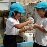 こあら組（3歳児）今週の一場面