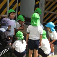 なつめ組（４歳児）今週の一場面