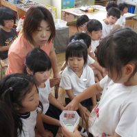 たいよう組（５歳児）　今週の一場面