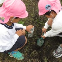 たいよう組（５歳児）　今週の一場面