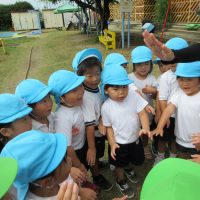 こあら組（3歳児）　今週の一場面