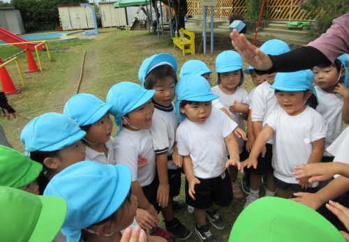 こあら組（3歳児）　今週の一場面