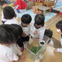 なつめ組（４歳児）今週の一場面