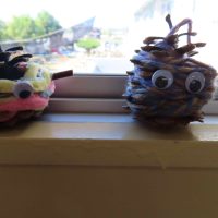 明日１１月２８日（金）のひまわりくらぶについて