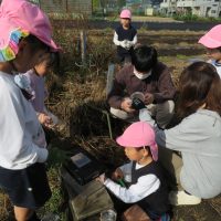たいよう組（５歳児）今週の一場面