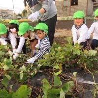 なつめ組（４歳児）今週の一場面