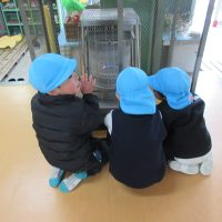 こあら組（3歳児）今週の一場面