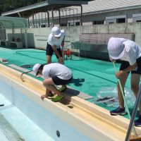 全校のためにプールをみがく５・６年生