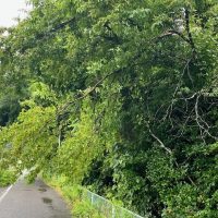 通学路の安全