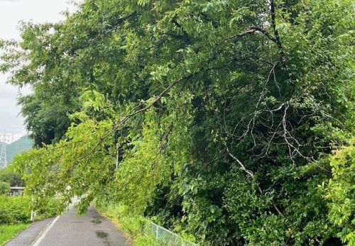 通学路の安全