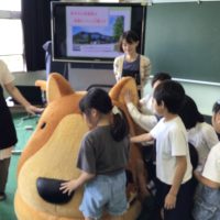 わんこカートが来てくれたよ