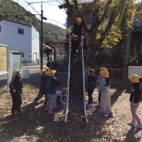 はっぱのすべりだい