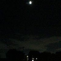 活躍するインリーダー生