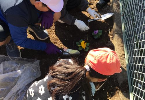花壇が華やかに
