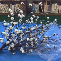 たぬきの糸車をやってみたよ