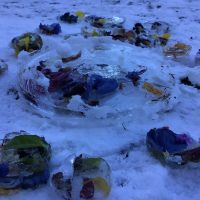 １年生：きらきら輝く「氷の花壇」