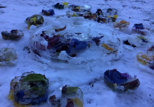 １年生：きらきら輝く「氷の花壇」