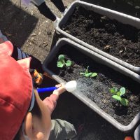 3年生の理科学習の準備だよ