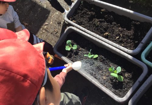 3年生の理科学習の準備だよ