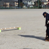 ２年生　警察犬が来ました！