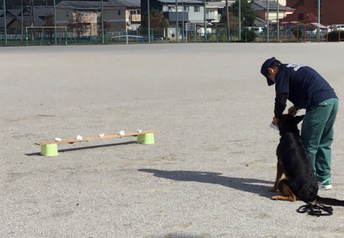 ２年生　警察犬が来ました！