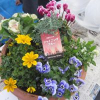 花の寄せ植え親子教室(地域・青少年育成市民会議主催)