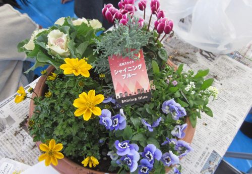 花の寄せ植え親子教室(地域・青少年育成市民会議主催)