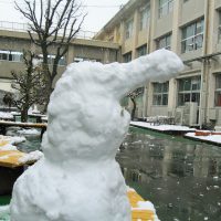 雪の加納中学校
