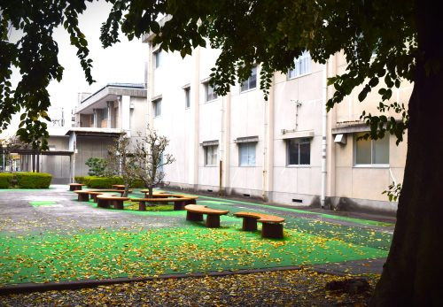 野外総合活動（ＹＳＫ）