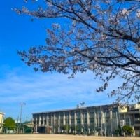 いのちの授業　３/１１(水)