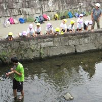 れんげ組（４歳児）今週の１場面