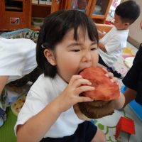 ちゅうりっぷ組（3歳児）今週の一場面