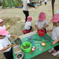 ひまわり組（３歳児）今週の一場面