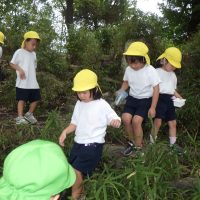 たんぽぽ組（４歳児）今週の一場面