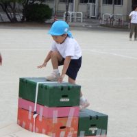 ちゅうりっぷ組（3歳児）今週の一場面