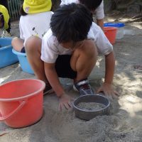 たんぽぽ組（４歳児）今週の一場面