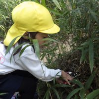 たんぽぽ組（４歳児）今週の一場面