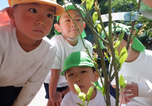 ソニ－幼児教育支援プログラム最優秀園　　【全国１位】に選ばれました！　