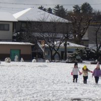 たんぽぽ組（４歳児）今週の一場面