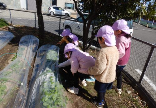 れんげ組（4歳児）今週の1場面