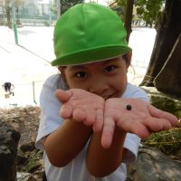 今週の１場面　さくら組（５歳児）