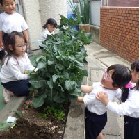 れんげ組（4歳児）今週の一場面